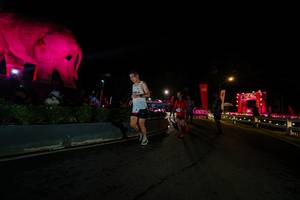 BIB: 
                            <button type="button" onclick="openModal(26552599)" class="btn btn-primary btn-sm float-right btn-popup" data-toggle="modal" data-target=".modal-high-quality">
                        <i class="fas fa-shopping-cart"></i> Add to Cart
                    </button>
                                            <button type="button" onclick="isThisMe(26552599, true)" class="btn btn-success btn-sm float-right btn-popup btn-isme hidden" data-toggle="tooltip" data-placement="bottom" title="นี่คือรูปของคุณใช่ไหม คลิกที่นี่เพื่อเอาเข้าอัลบั้ม">
                        <i class="fas fa-plus"></i> Add to album
                    </button>
                    <button type="button" onclick="isThisMe(26552599, false)" class="btn btn-warning btn-sm float-right btn-popup btn-isnotme hidden">
                        <i class="fas fa-ban"></i> Remove from album
                    </button>